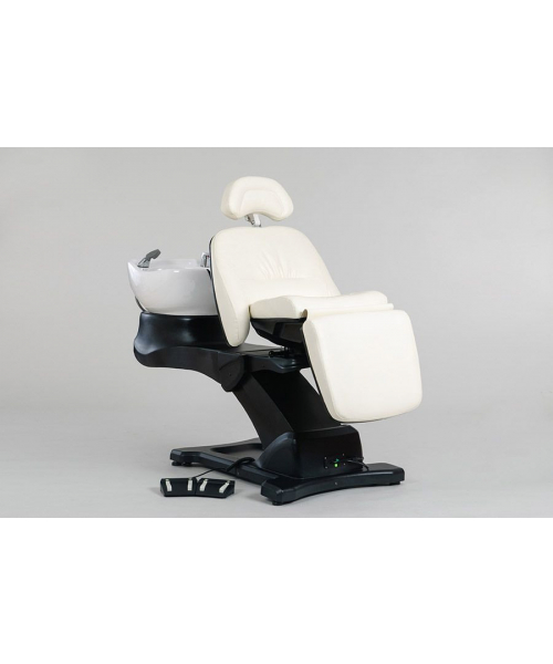 Мойка парикмахерская "Destiny"